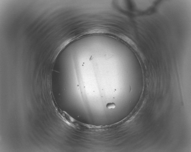 X0000061121337200512022142