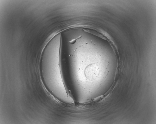 X0000061121338200512022142