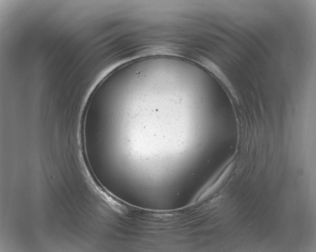 X0000061121339200512022142