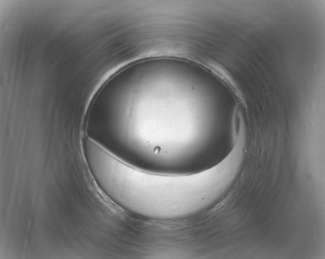 X0000061121340200512022142