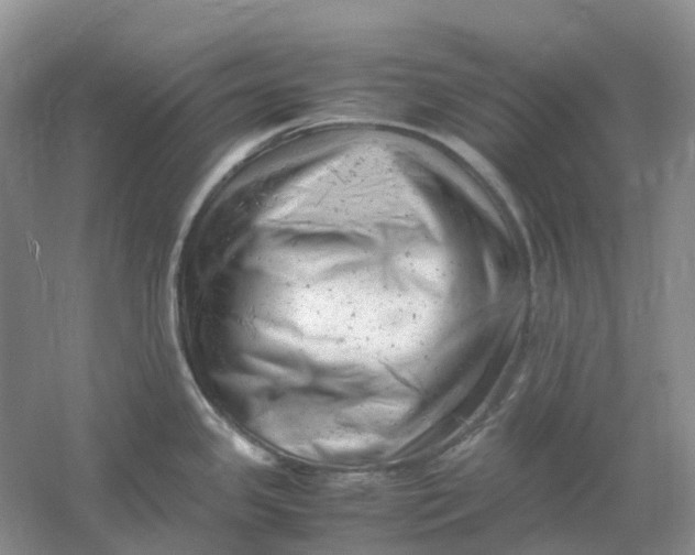 X0000061121341200512022142