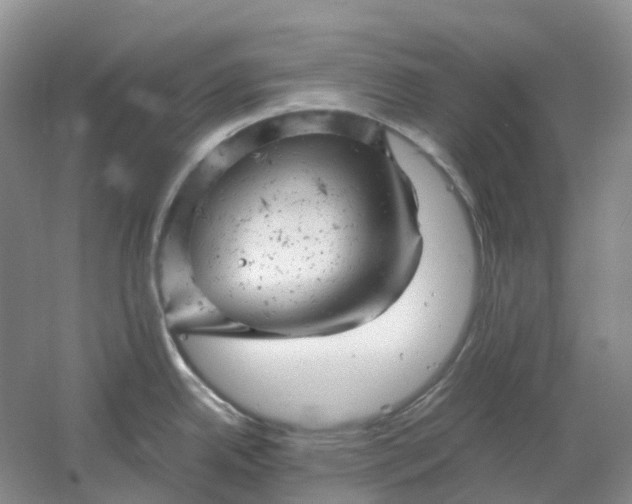 X0000061121342200512022142