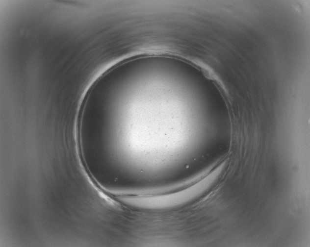 X0000061121343200512022142