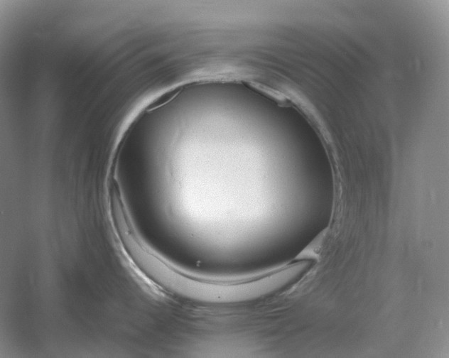 X0000061121344200512022142