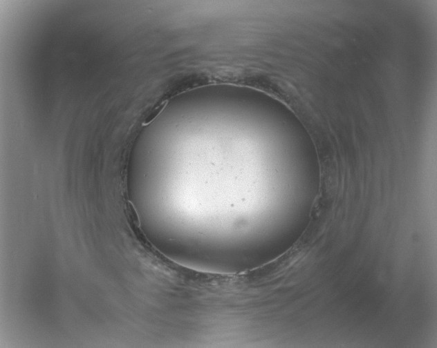 X0000061121345200512022141