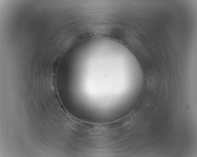 X0000061121346200512022141