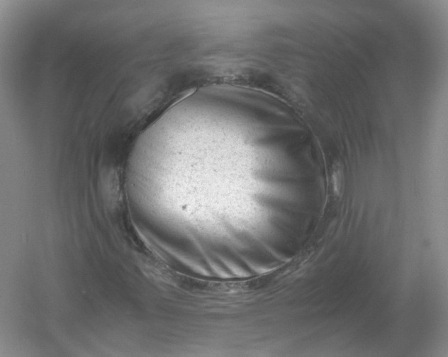 X0000061121347200512022141