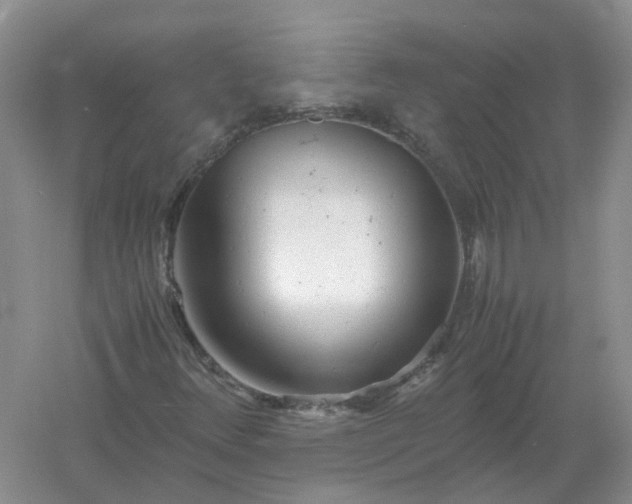 X0000061121348200512022141