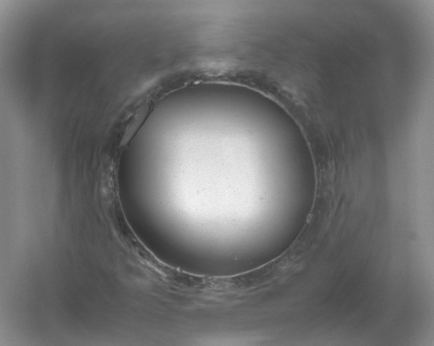 X0000061121349200512022141