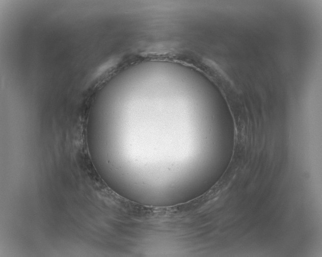 X0000061121350200512022141