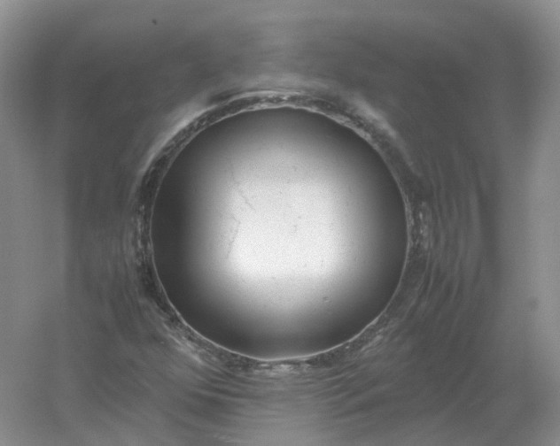 X0000061121352200512022141