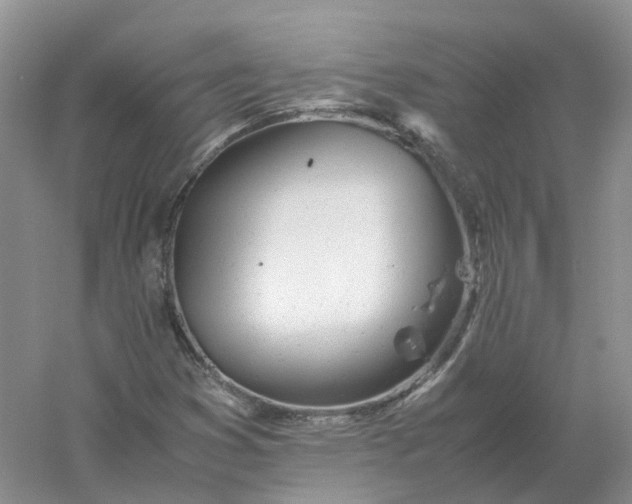 X0000061121353200512022141