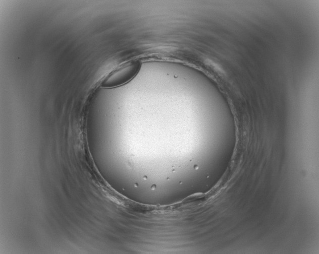 X0000061121354200512022141