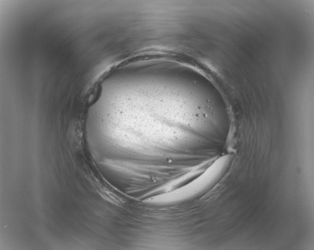 X0000061121355200512022141