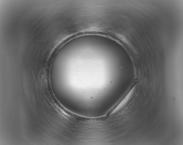 X0000061121356200512022141