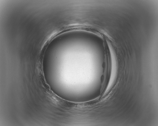 X0000061121357200512022141