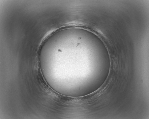 X0000061121358200512022141