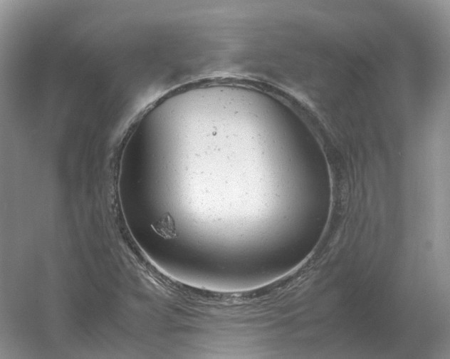 X0000061121359200512022141