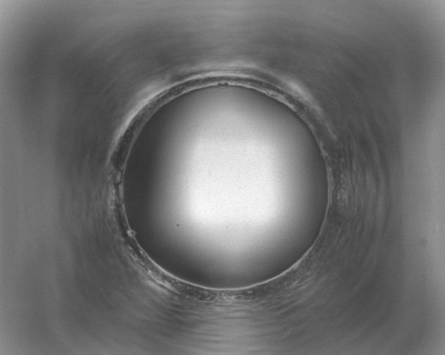 X0000061121360200512022141