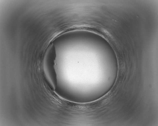 X0000061121361200512022141