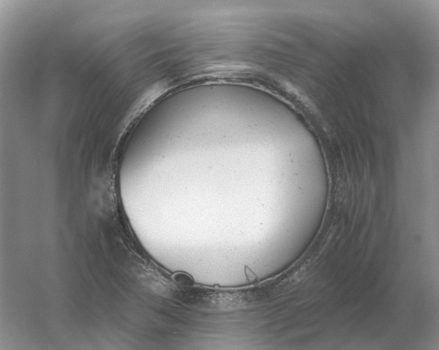 X0000061121362200512022141