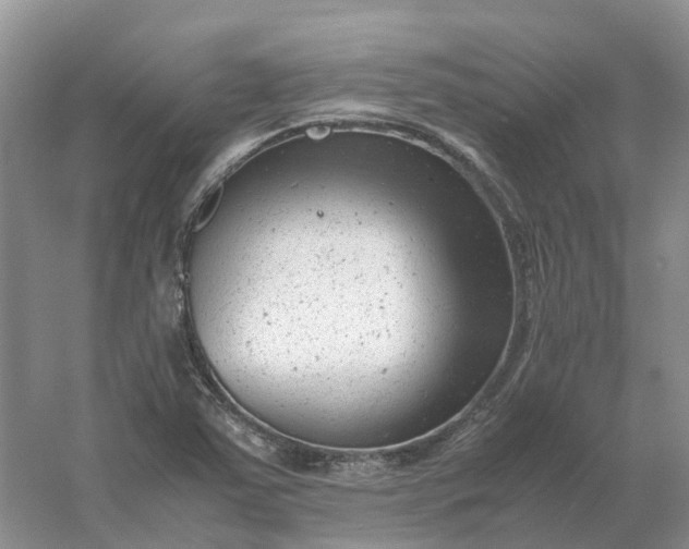 X0000061121363200512022141