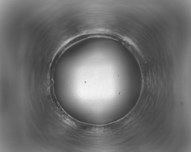 X0000061121364200512022141