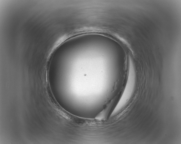 X0000061121365200512022141