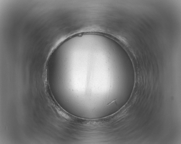 X0000061121366200512022141