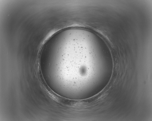 X0000061121367200512022141