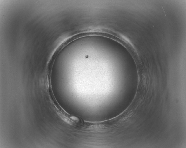 X0000061121368200512022141