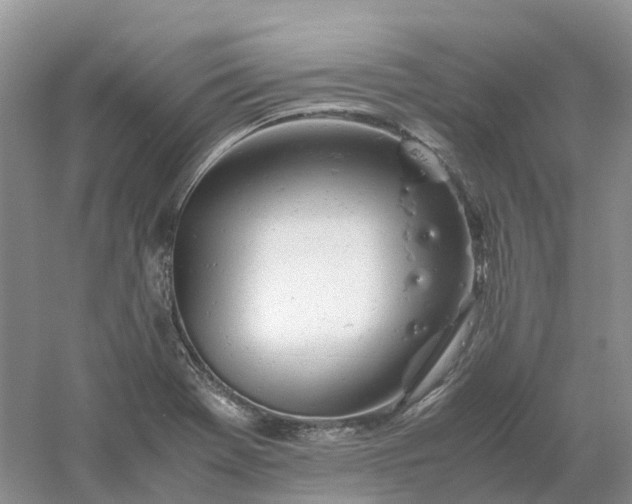 X0000061121369200512022141