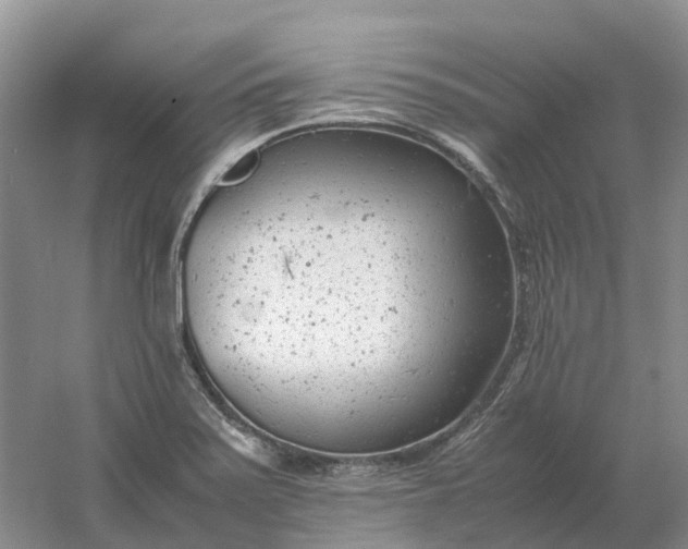 X0000061121371200512022141