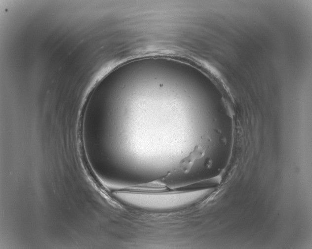 X0000061121373200512022141