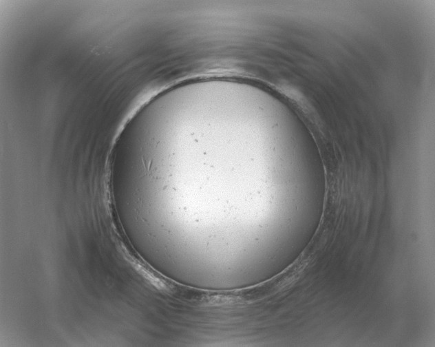 X0000061121374200512022141