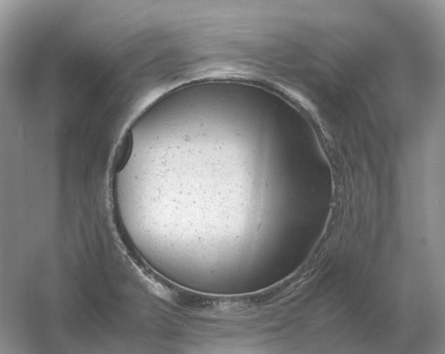 X0000061121375200512022141