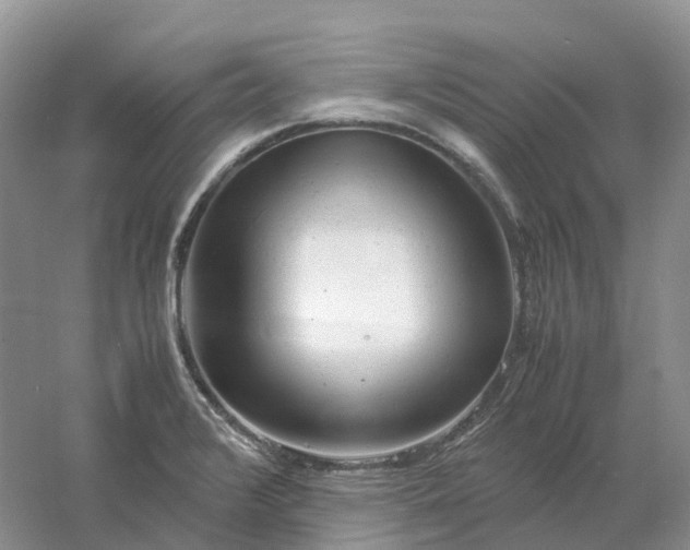 X0000061121376200512022141