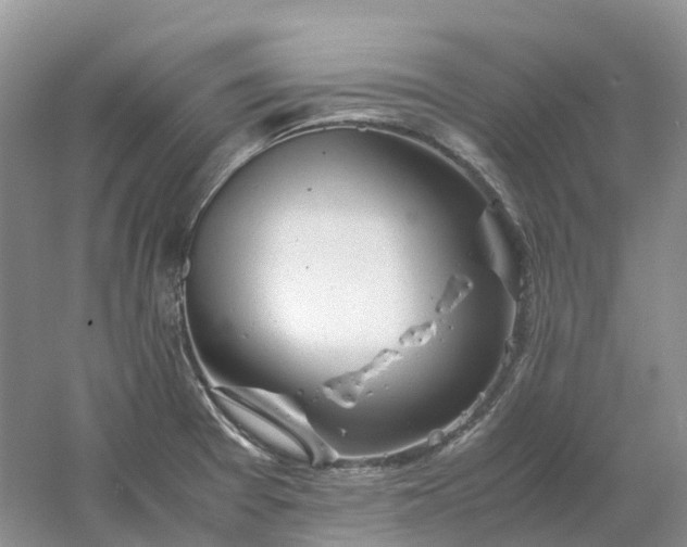 X0000061121377200512022141