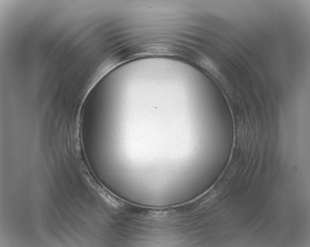 X0000061121378200512022141