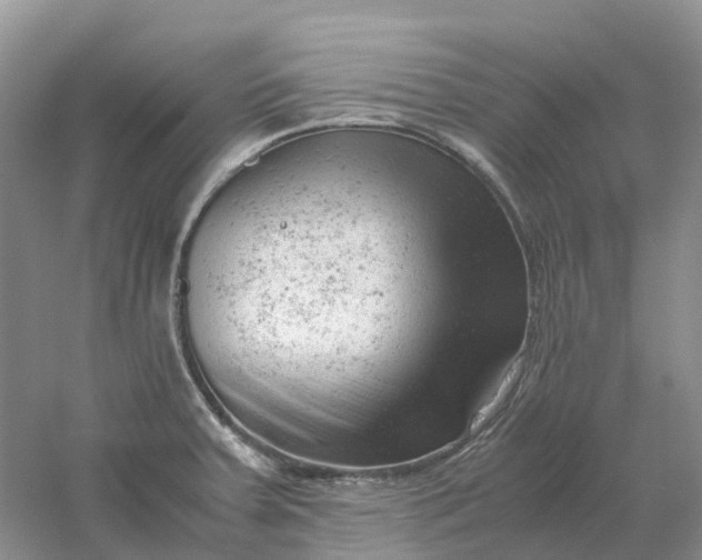 X0000061121379200512022141