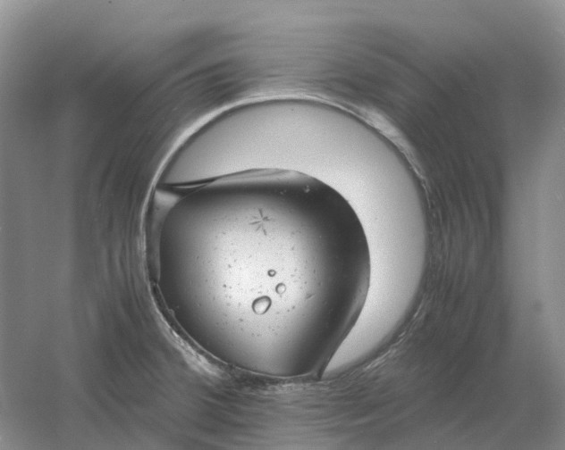 X0000061121380200512022141