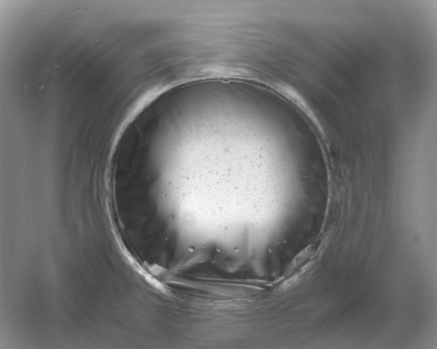 X0000061121381200512022141