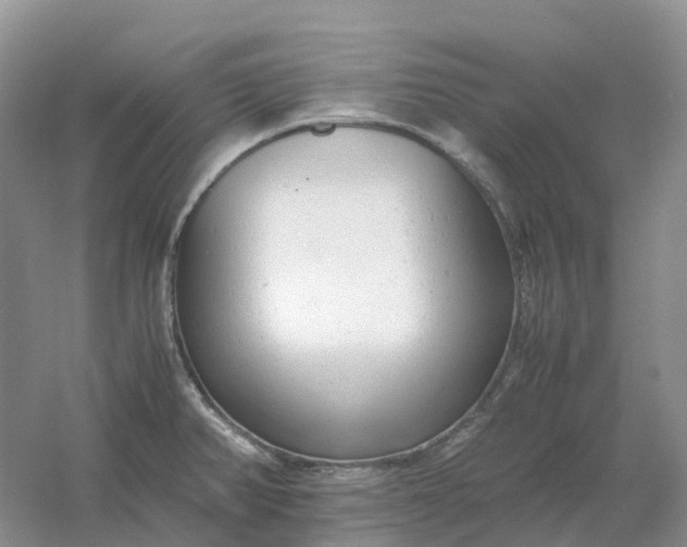 X0000061121382200512022141