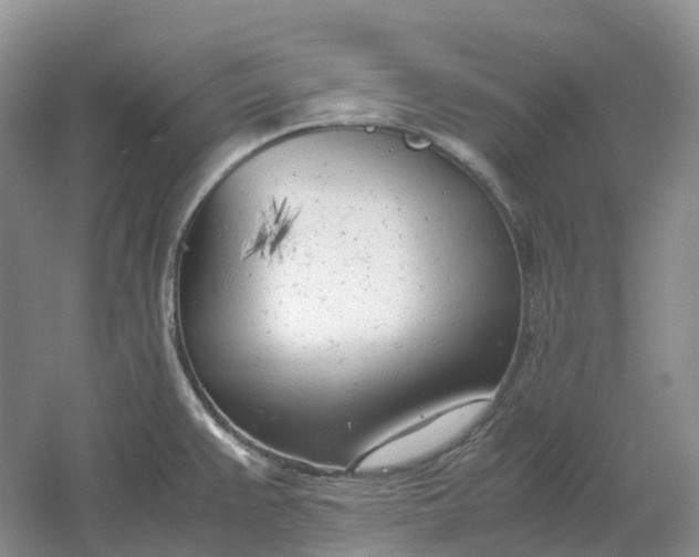 X0000061121383200512022141