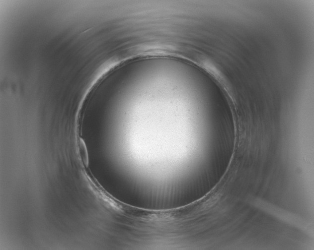 X0000061121384200512022141