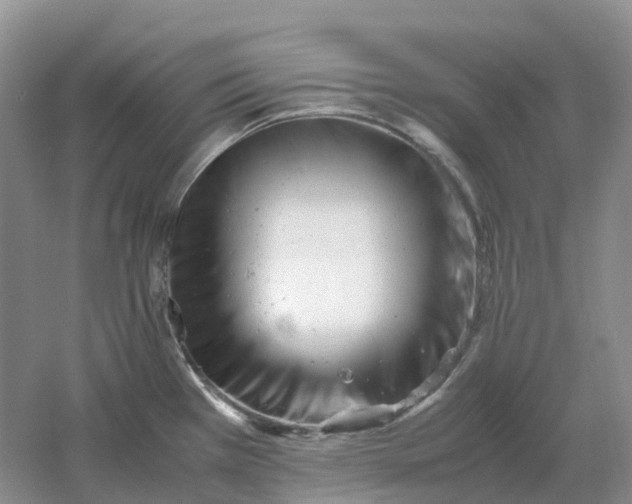 X0000061121385200512022141