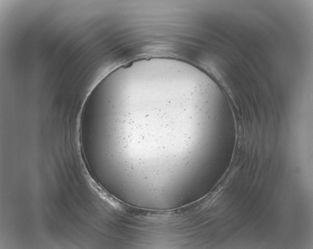 X0000061121386200512022141