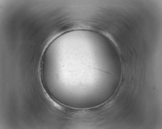 X0000061121387200512022140