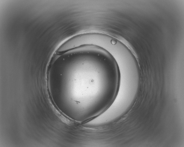 X0000061121388200512022140