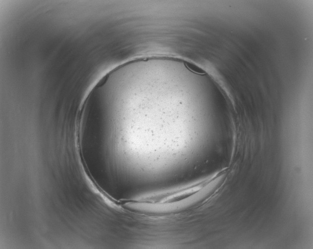 X0000061121390200512022140